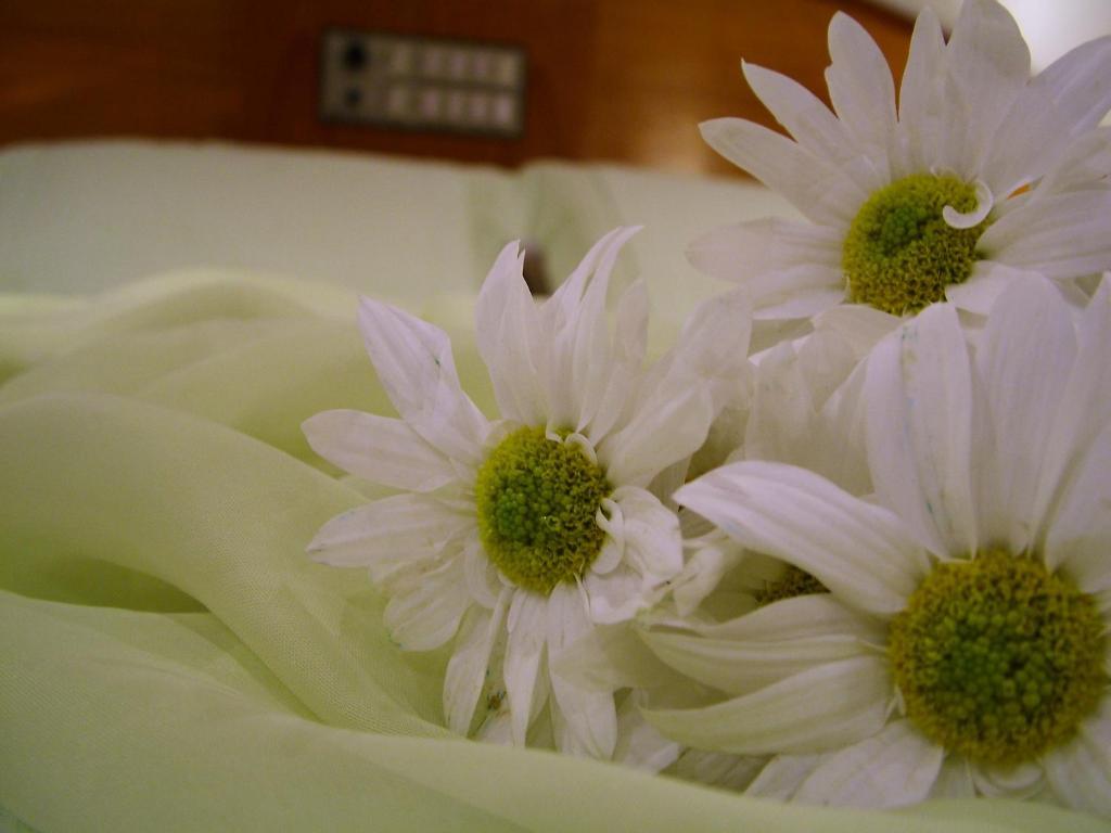Cristal Executive Hotel Francisco Beltrao Phòng bức ảnh